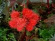 tn_gallery_3363_3089_4562.jpg