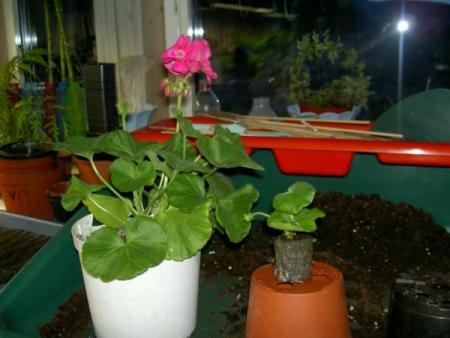 gallery_3363_250_6689.jpg