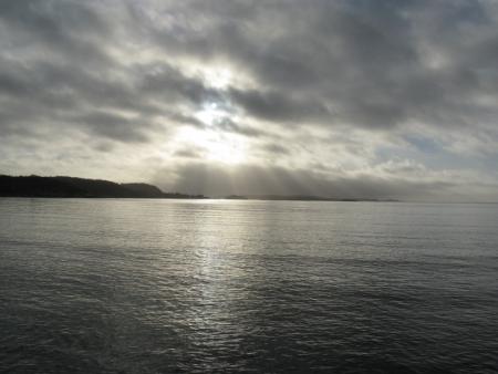 gallery_10406_1863_298550.jpg