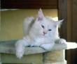 tn_gallery_352_1285_78547.jpg