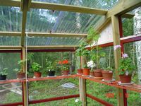 gallery_13170_2840_11296.jpg