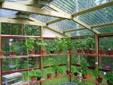 gallery_13170_2840_1459.jpg