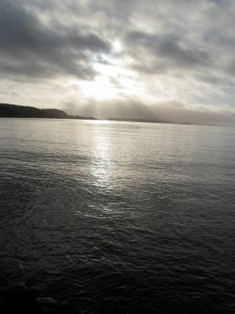 gallery_10406_1863_153540.jpg