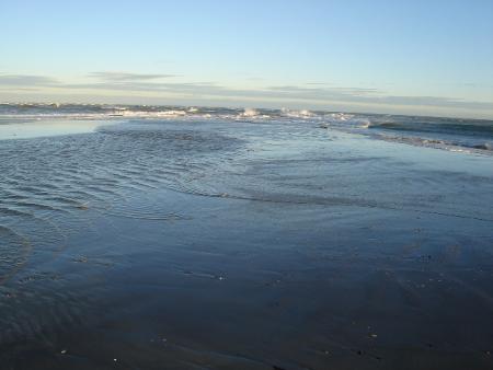 gallery_10406_1863_83290.jpg