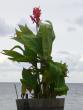 tn_gallery_58_34_29085.jpg