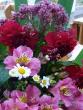 tn_gallery_58_34_62321.jpg