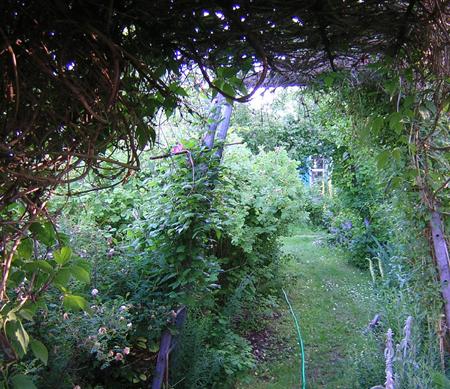 gallery_20295_3119_30233.jpg