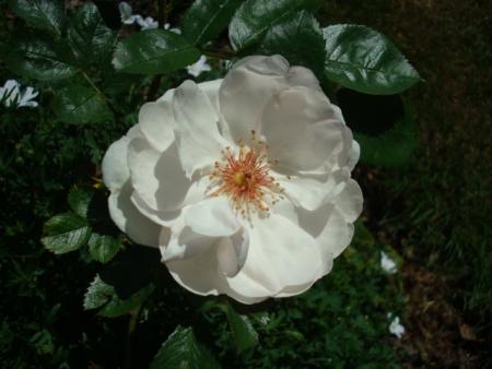 gallery_12789_3020_66012.jpg