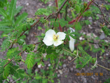 gallery_20295_3065_113124.jpg