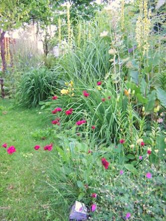 gallery_20295_3119_113153.jpg