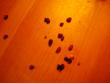 tn_gallery_12789_1345_7145.jpg
