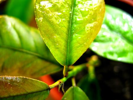 gallery_10947_664_26117.jpg