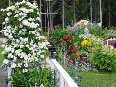 gallery_58_34_210726.jpg