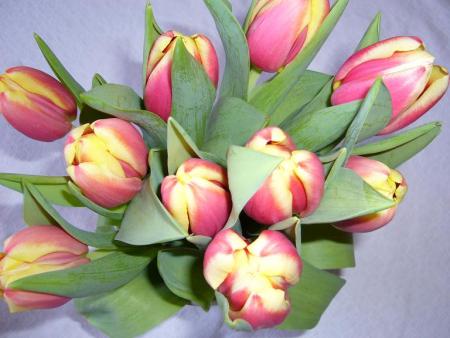 gallery_58_34_24437.jpg