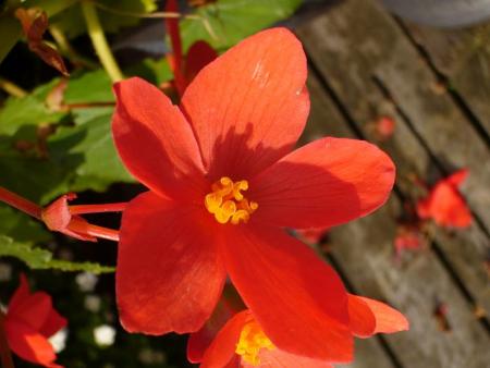 gallery_58_34_58436.jpg