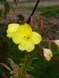 tn_gallery_58_34_14302.jpg