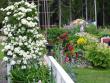 tn_gallery_58_34_210726.jpg