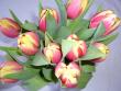 tn_gallery_58_34_24437.jpg