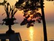 tn_gallery_58_34_26050.jpg