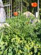 tn_gallery_58_34_84002.jpg