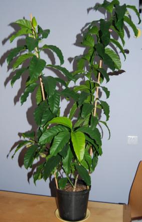 gallery_134_3156_42206.jpg