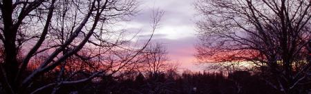 gallery_6301_3161_43901.jpg