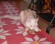 tn_gallery_352_1285_64673.jpg