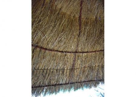 gallery_14337_3175_247610.jpg