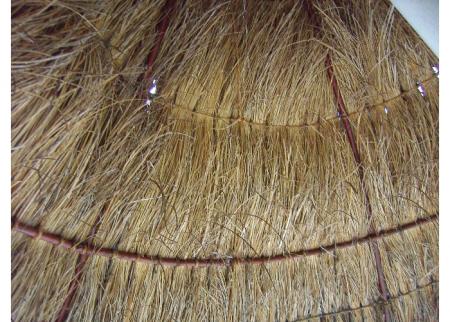 gallery_14337_3175_94306.jpg