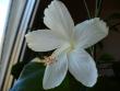 tn_gallery_10231_831_50073.jpg