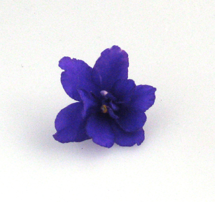 gallery_2821_3179_103257.jpg