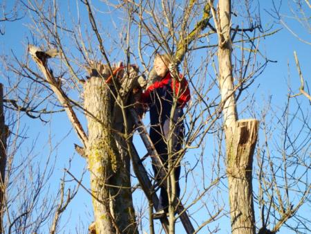 gallery_12789_3020_27211.jpg