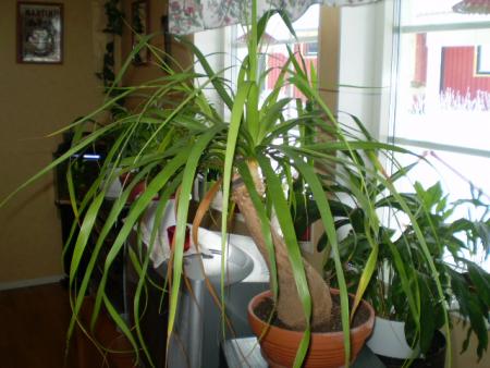 gallery_20026_3032_115314.jpg