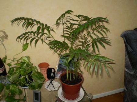 gallery_20026_3032_3894.jpg