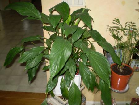 gallery_20026_3032_48207.jpg