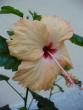 tn_gallery_10231_831_8572.jpg
