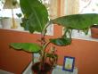 tn_gallery_20026_3032_47154.jpg