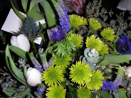 gallery_352_2206_231176.jpg