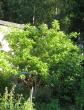 tn_gallery_14_147_130179.jpg