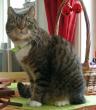tn_gallery_352_1285_67548.jpg