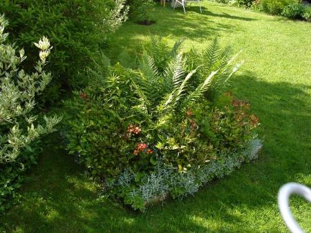 gallery_10406_538_121835.jpg