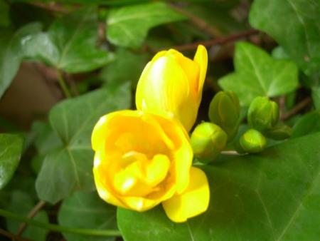 gallery_6830_3211_10698.jpg