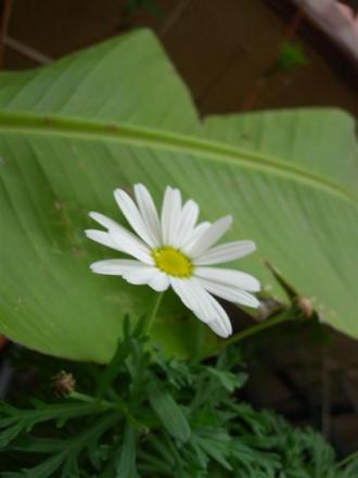 gallery_6830_3211_20314.jpg