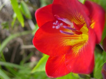 gallery_6830_3211_30627.jpg