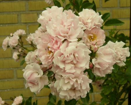 gallery_12789_3020_144016.jpg