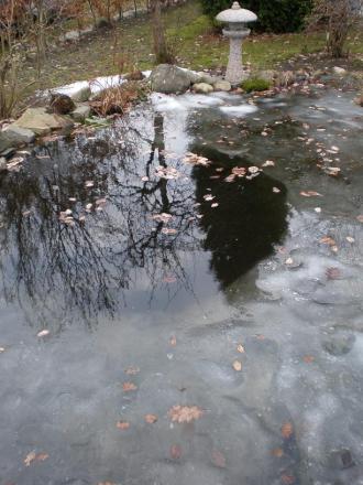 gallery_12962_3037_37660.jpg