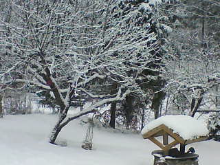 gallery_15174_3220_23941.jpg