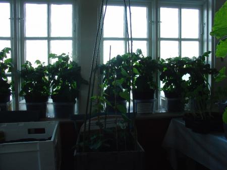 gallery_4755_3219_66896.jpg