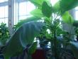 tn_gallery_4755_3219_137353.jpg