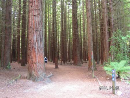 gallery_1786_3222_139523.jpg